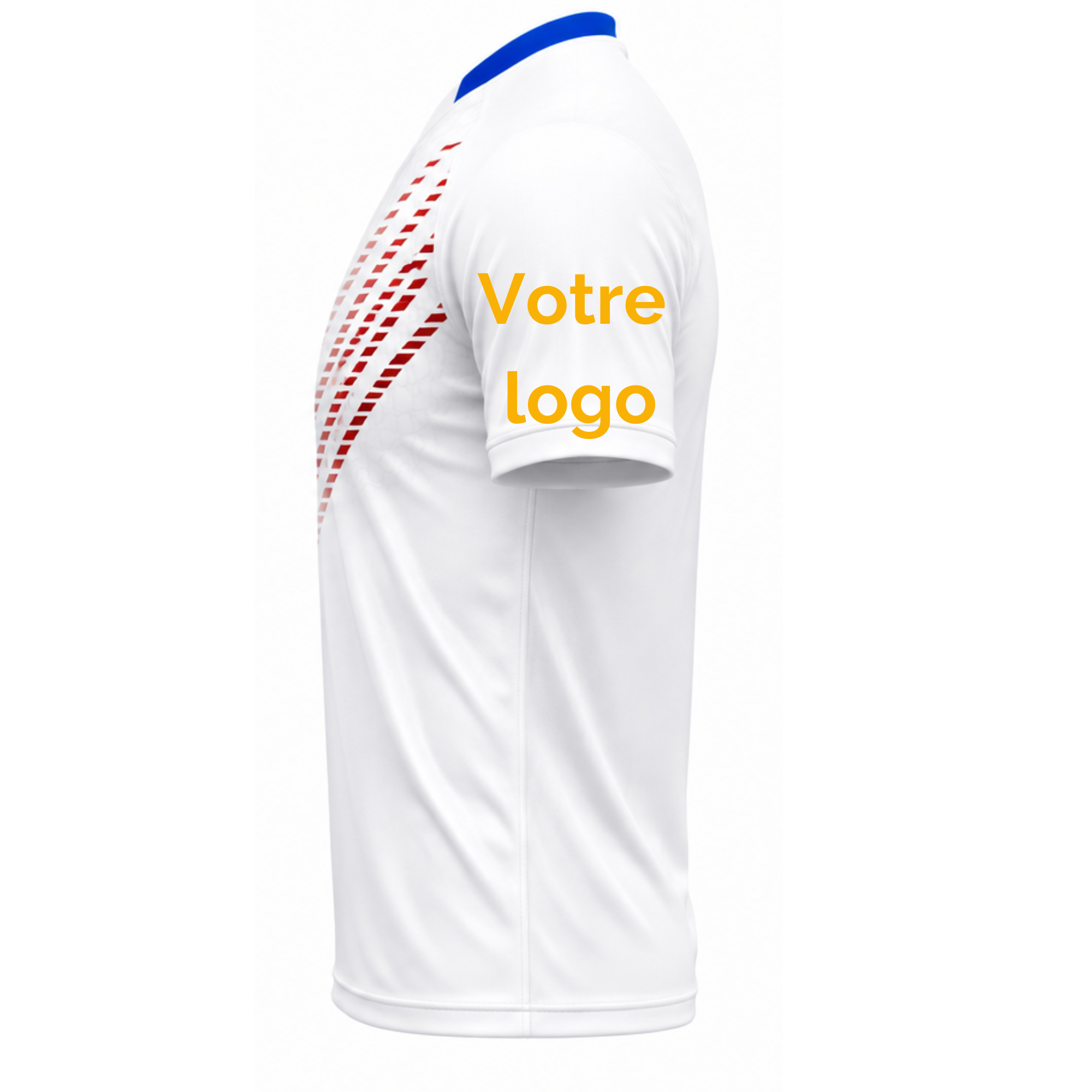 Manche gauche — visuel officiel
